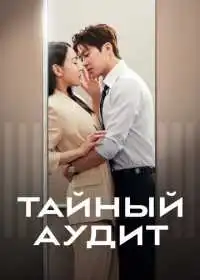 Постер сериалa Тайный аудит
